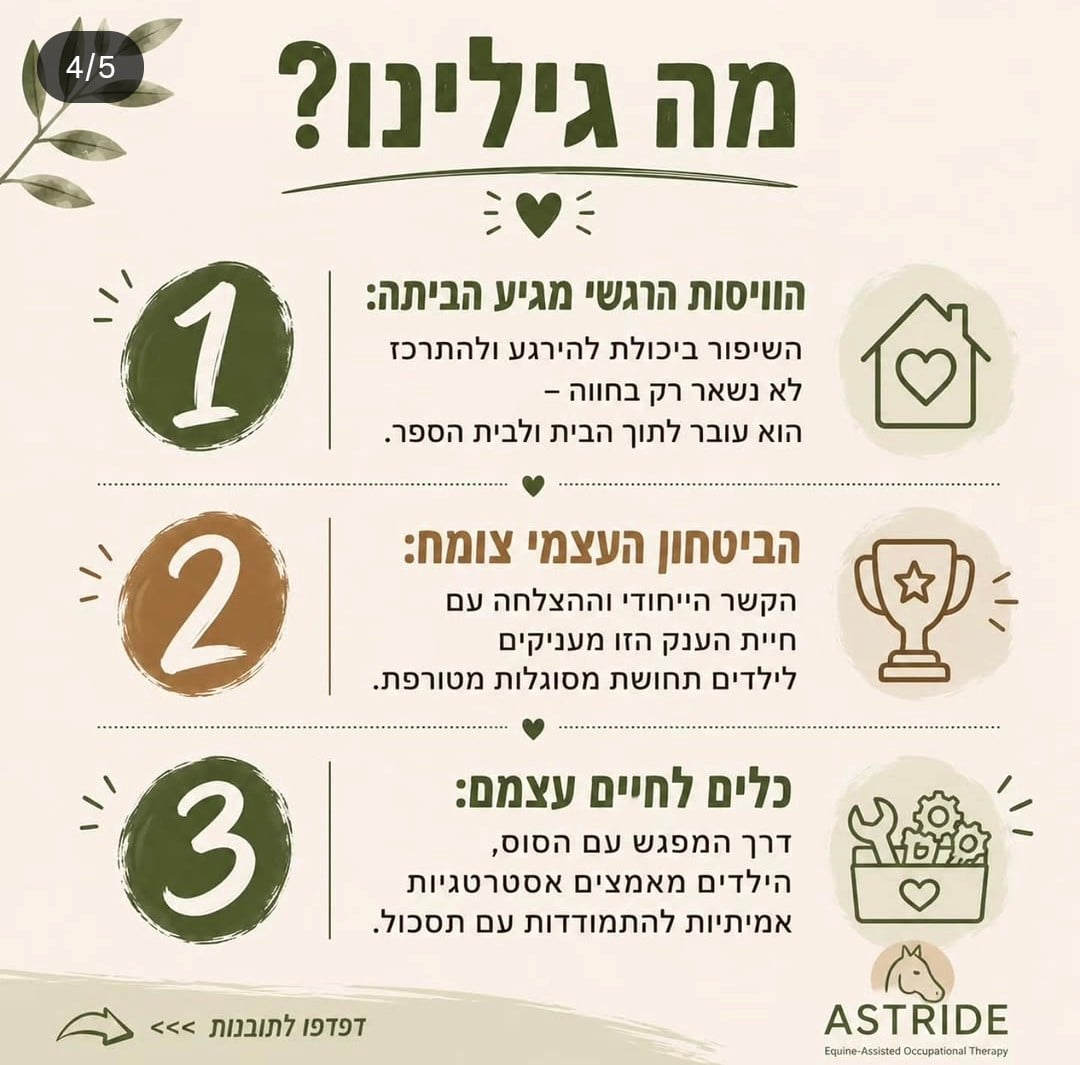 מחקר ASTride — שקופית 4
