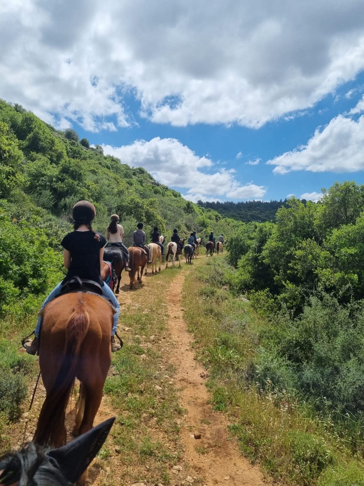 טיול רכיבה קבוצתי בשבילי הרי יהודה, בין הגבעות הירוקות